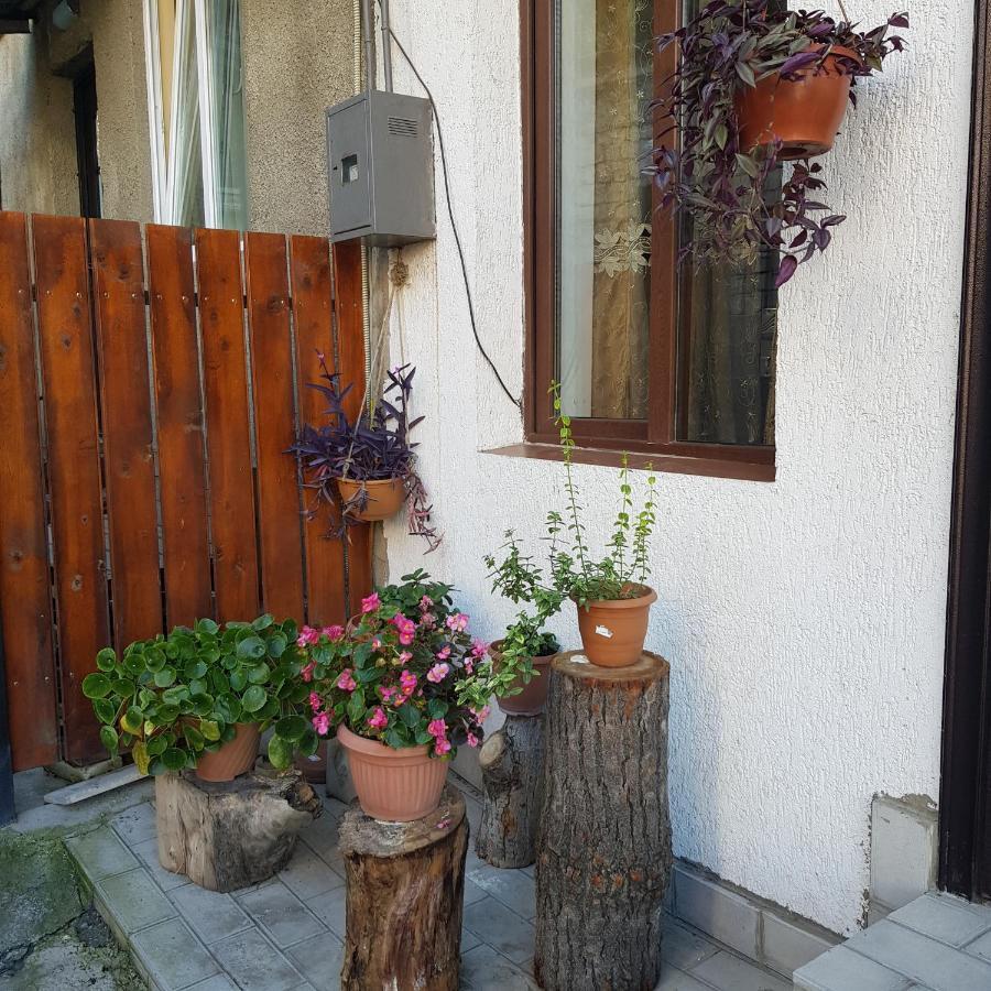 Guesthouse Gia Tbilisi Exterior photo