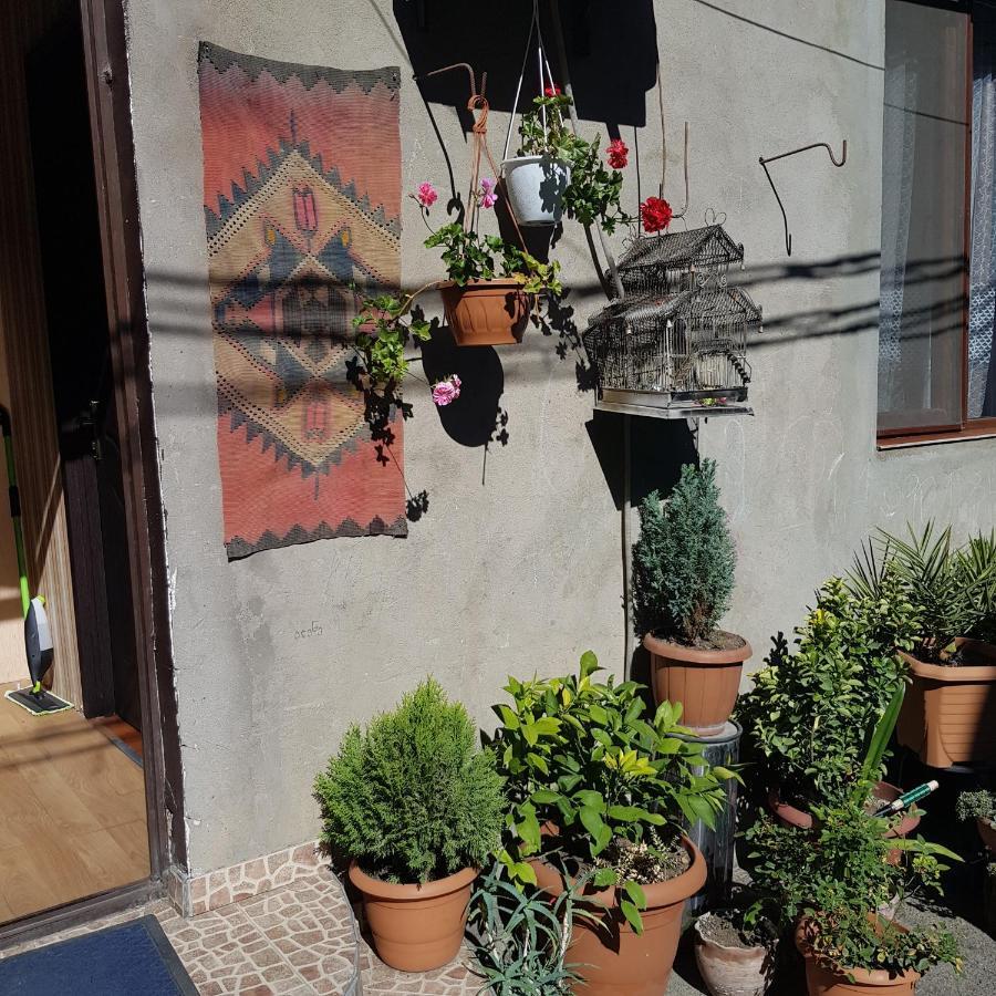 Guesthouse Gia Tbilisi Exterior photo